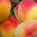Roveg peaches